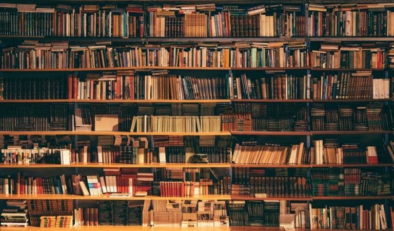 Book Case with Thousands of Books to choose from